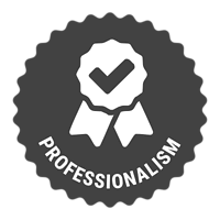 Professionalism Professionalism